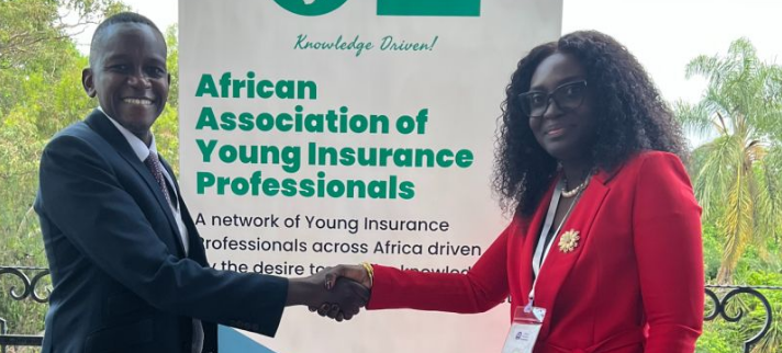 Image média: African Association of Young Insurance professionals